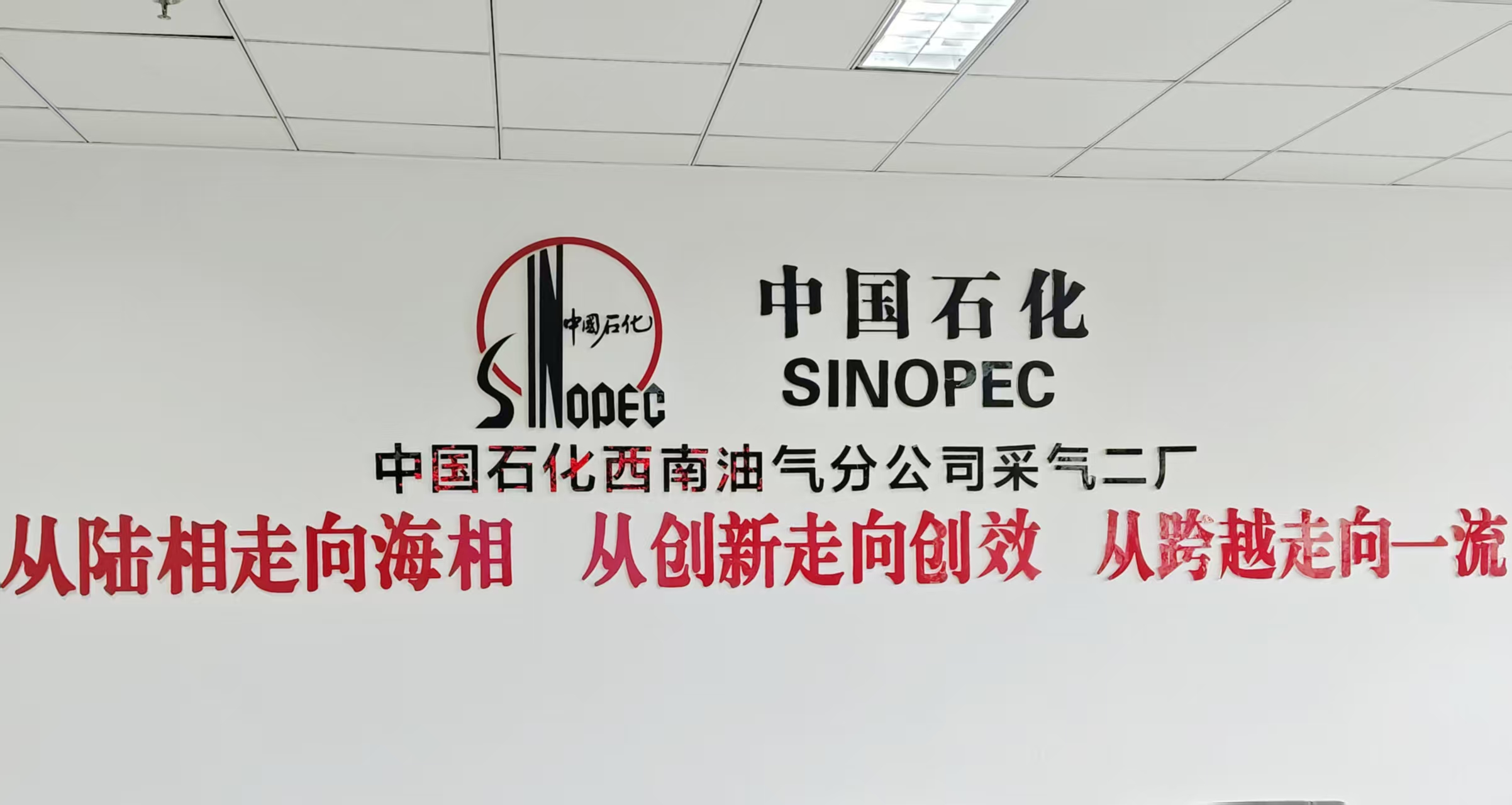 缓蚀剂、溶硫剂技术交流会议